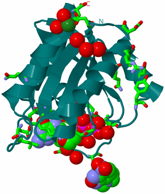 Image Biol. Unit 1 - sites