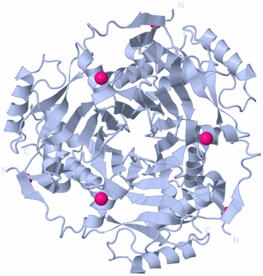 Image Biological Unit 1