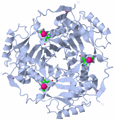 Image Biol. Unit 1 - sites