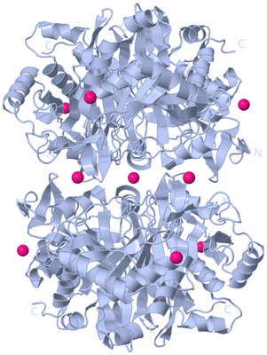 Image Biological Unit 2