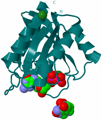 Image Biological Unit 1