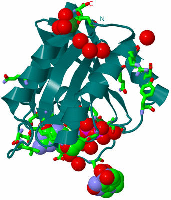 Image Biol. Unit 1 - sites