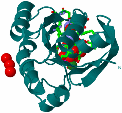 Image Biol. Unit 1 - sites