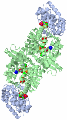 Image Biological Unit 1