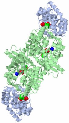 Image Biological Unit 1