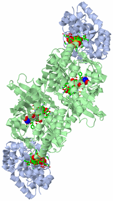 Image Biol. Unit 1 - sites