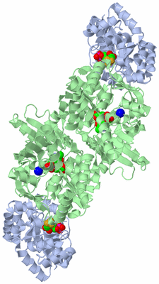 Image Biological Unit 1