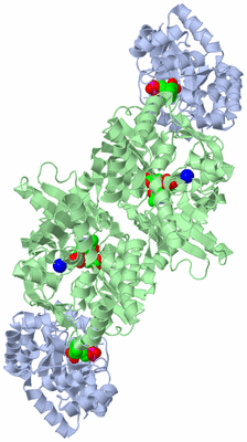 Image Biological Unit 1