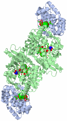 Image Biol. Unit 1 - sites