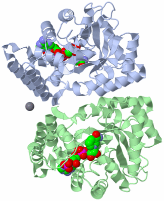 Image Biological Unit 1