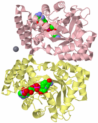 Image Biological Unit 2