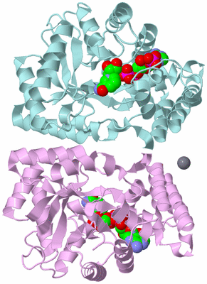 Image Biological Unit 3