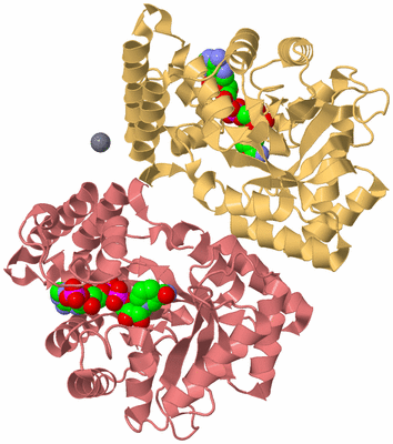 Image Biological Unit 4