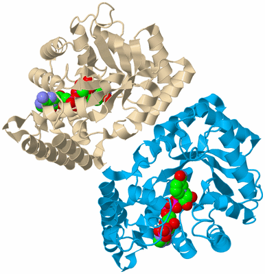 Image Biological Unit 5