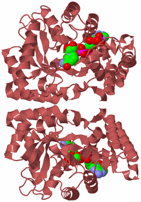 Image Biological Unit 6