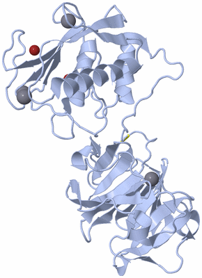 Image Biological Unit 1