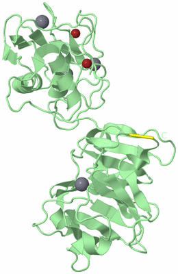 Image Biological Unit 2