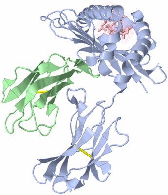 Image Biological Unit 1