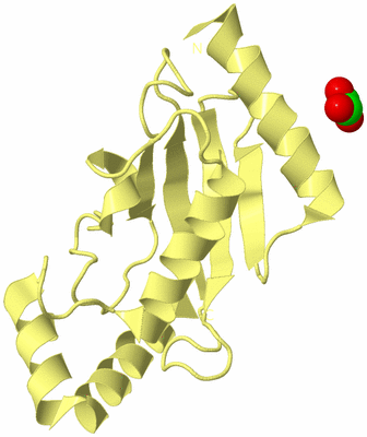 Image Biological Unit 4