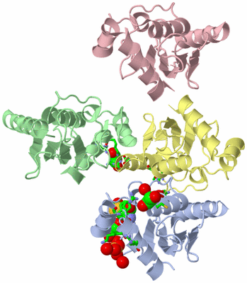 Image Asym. Unit - sites