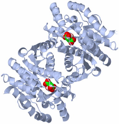 Image Biological Unit 1