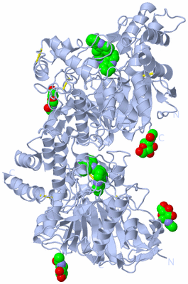 Image Biological Unit 1