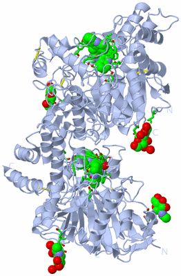 Image Biol. Unit 1 - sites