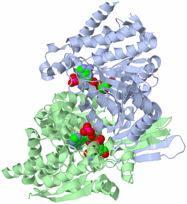 Image Asym./Biol. Unit