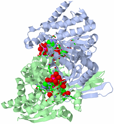 Image Asym./Biol. Unit - sites