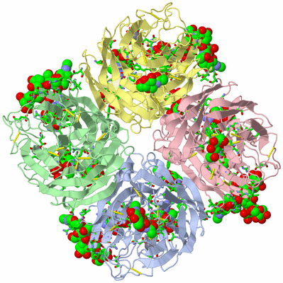 Image Asym./Biol. Unit - sites