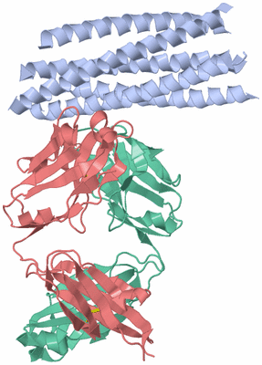 Image Biological Unit 1