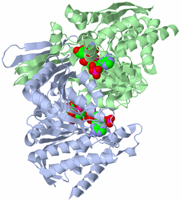 Image Asym./Biol. Unit