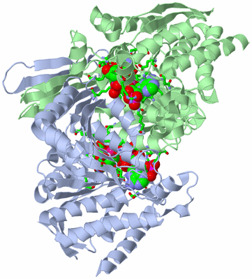 Image Asym./Biol. Unit - sites