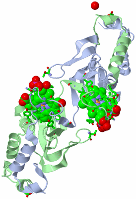 Image Asym./Biol. Unit - sites