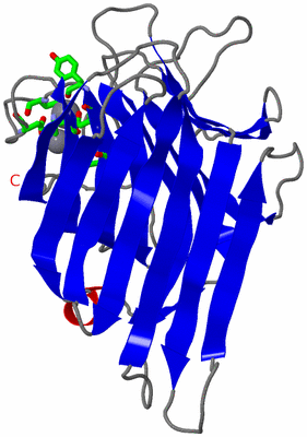 Image Asym. Unit - sites