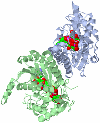 Image Biological Unit 1