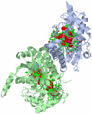 Image Biol. Unit 1 - sites