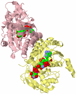 Image Biological Unit 2