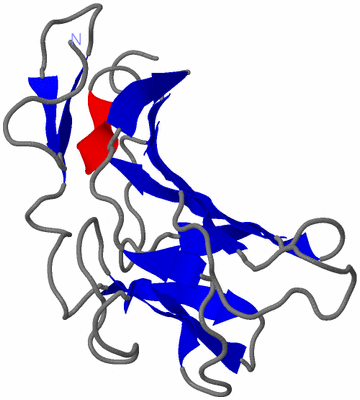 Image NMR Structure - model 1