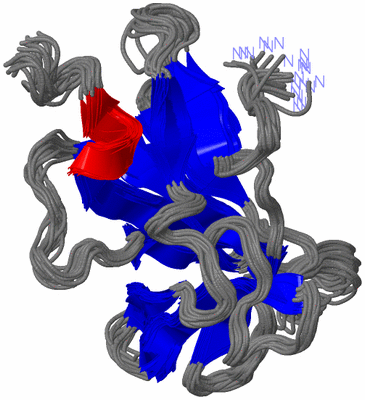 Image NMR Structure - all models