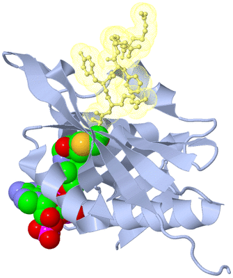 Image Biological Unit 1