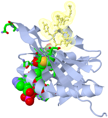 Image Biol. Unit 1 - sites