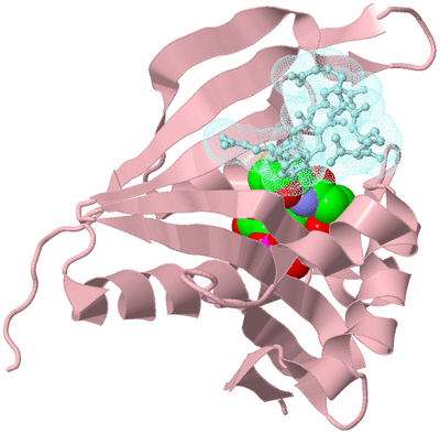 Image Biological Unit 3