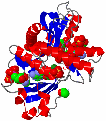 Image Asym./Biol. Unit