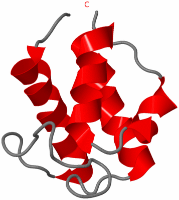 Image NMR Structure - model 1