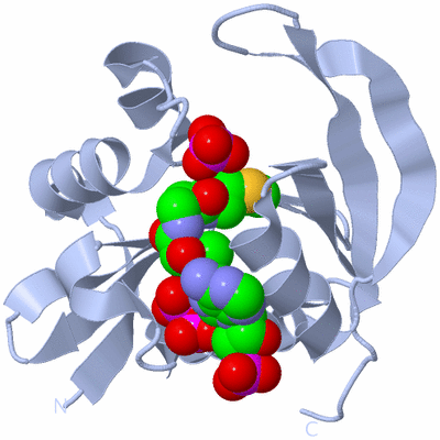 Image Biological Unit 1