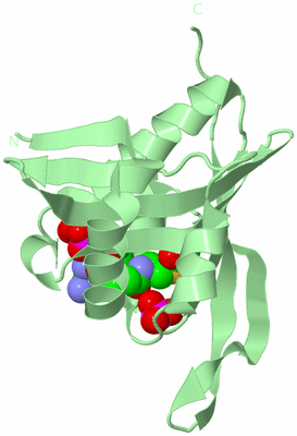 Image Biological Unit 2