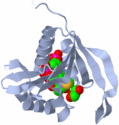 Image Biological Unit 1