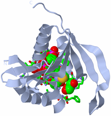 Image Biol. Unit 1 - sites