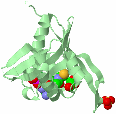 Image Biological Unit 2